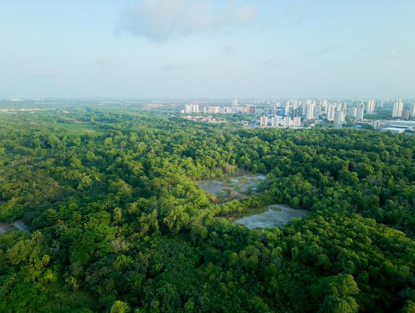 Innovations dans la lutte contre le chômage : Découvrez les dernières mesures !